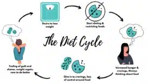 Diet Cycle