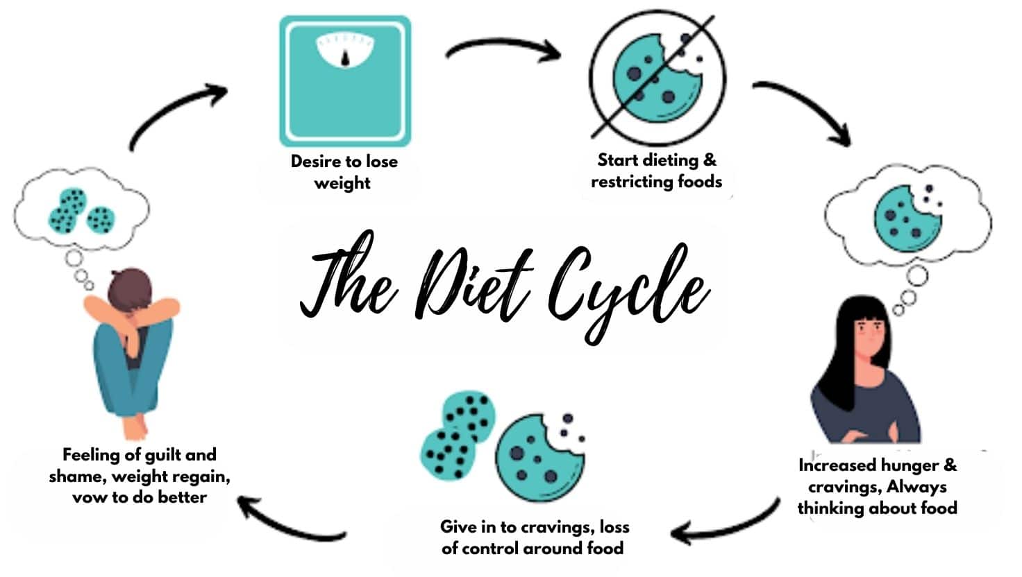 Diet Cycle