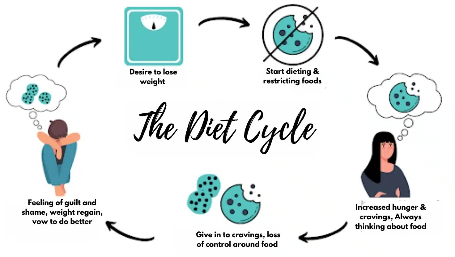 Diet Cycle